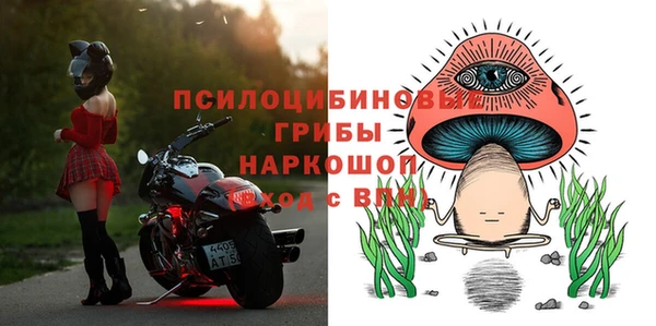 винт Ладушкин